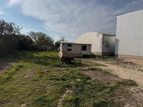 ROMULO BONZI 100
