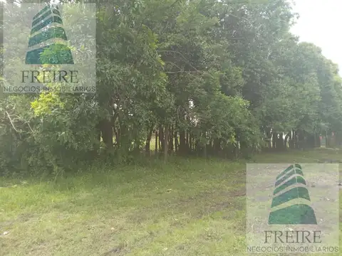 Terreno en Venta 50  mts Fondo