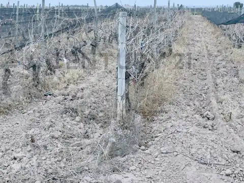 ruta 33 100, Piso 0