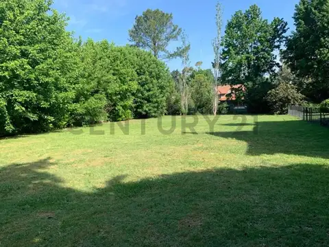 Terreno en Venta 20  mts Frente