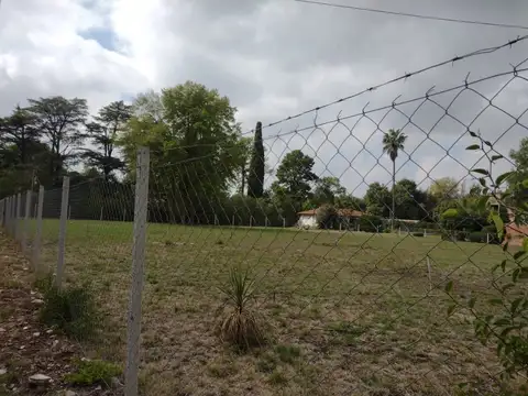 LEOPOLDO LUGONES 1800