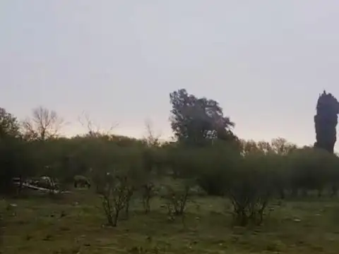 Liquidamos Ya!! 1.5has. En Zona Urdinarrain!!