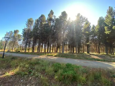 Terreno en Venta en Dina Huapi, USD 95.000