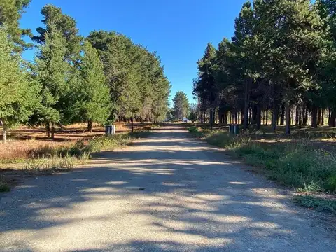 Terreno en Venta de 1105,0 m2