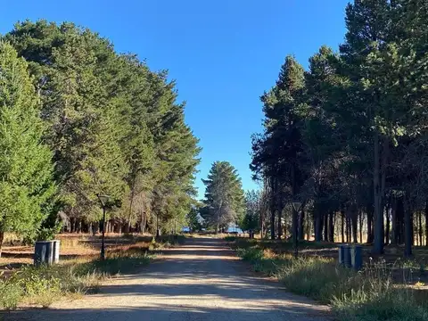 Terreno en Venta en Dina Huapi, USD 95.000