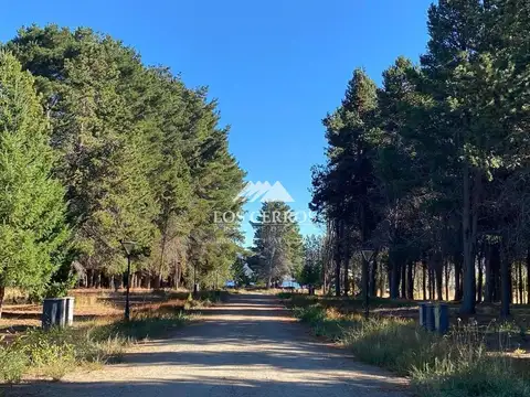 Terreno en Venta en Dina Huapi, USD 95.000