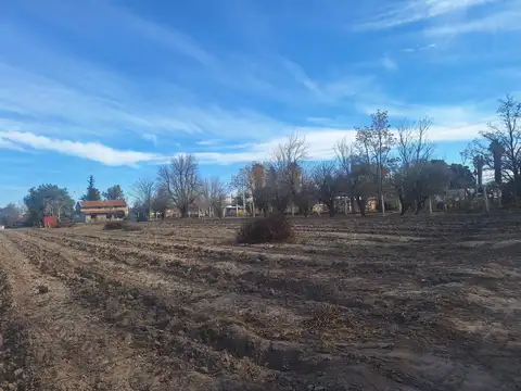 Terreno en Venta 14  mts Frente