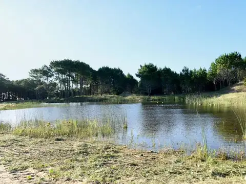 Ruta 11 Km 378  SB