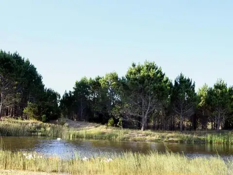 Ruta 11 Km al 300