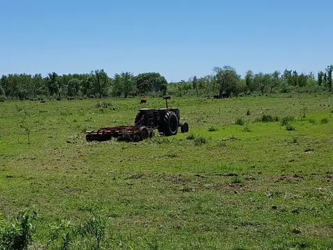 Cuarta Sección Islas del Ibicuy Distrito Ceibas