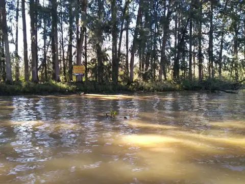 Rio o Arroyo Caraguatá Fracción 294 300