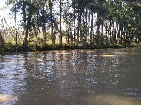 Terreno Fraccion  en Venta en Caraguatá, Zona Delta, Tigre