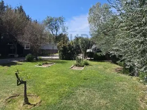 Padre Migone 200, Piso 0