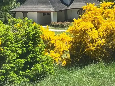 Av. Ezequiel Bustillo