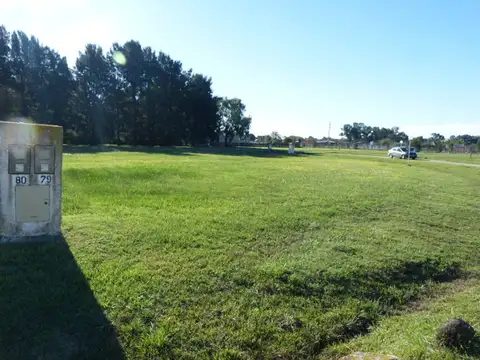 Ruta 215 Km 32,5 100