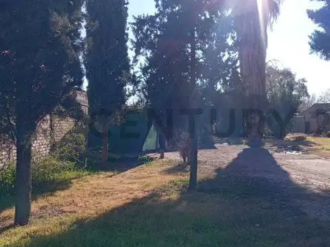 Juan José Paso 100, Piso 0