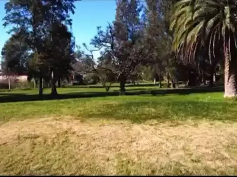 Terreno en Venta 100  mts Fondo