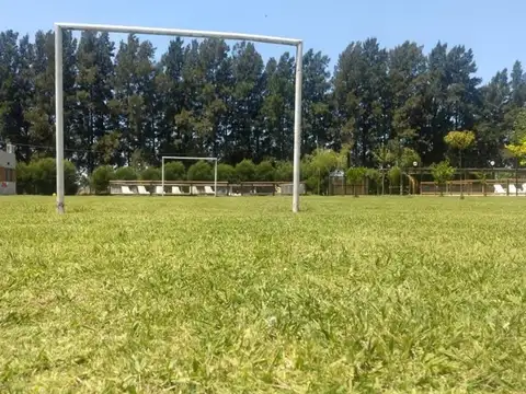 De Las Galleretas y Ciervo de las Pampas