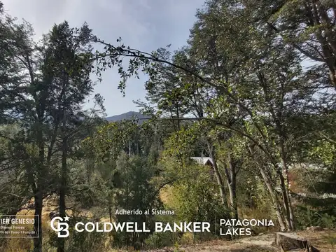 Terreno en Venta 66  mts Fondo