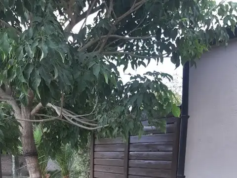 Santos Vega y García Lorca