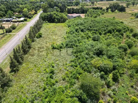 637 e/ 13 y 16 Arana, 4 hectáreas con 169 mts sobre Avenida