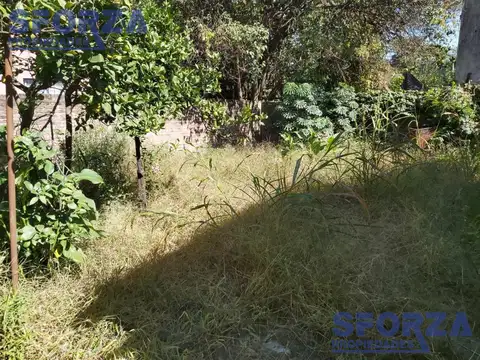 Local en Venta 40 años