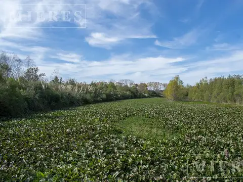 Terreno en Venta 15  mts Fondo