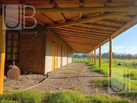 Campo en San Rafael