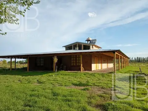 Campo en San Rafael