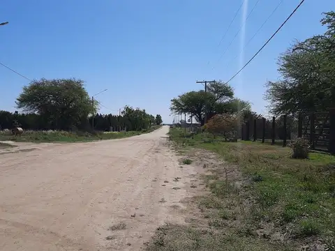 Terreno en Venta en Winifreda, USD 7.900