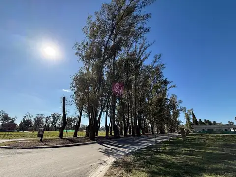 Terreno en Venta en Pilar Del Este - Santa Sofia, USD 40.000