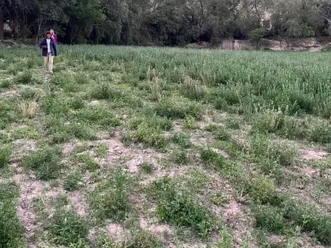 Campo Cachi 6has Agricola