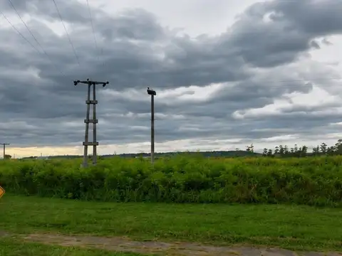 Terreno - Rosario De La Frontera
