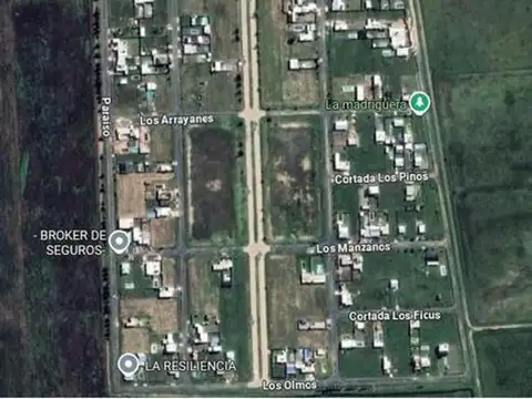 Altos De Piñero