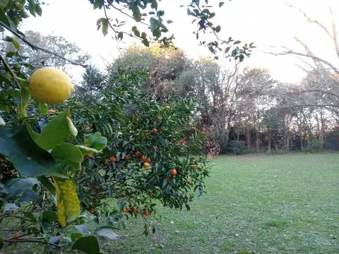 Escalada, Zarate (cerca de el Amparo), Zarate 100