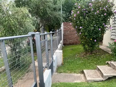 El piquillin 100