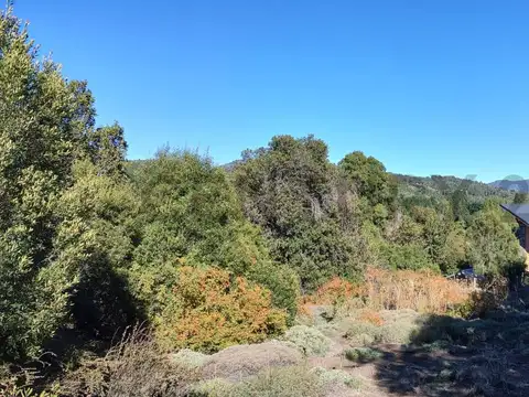 Cuesta de Sepulveda 100, Piso 0