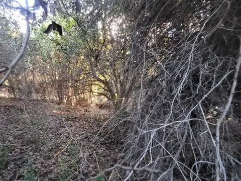 Terreno en Venta de 2512,0 m2