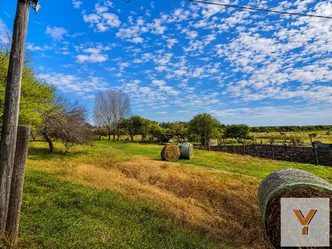 Campo en venta -  - 770000mts - san nicolas de los arroyos