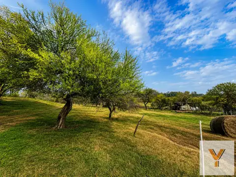 Campo en Venta -  - 770000mts - San Nicolas de los Arroyos