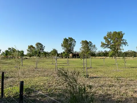 CHACRAS 1 HECTÁREA - ALAMBRADO PERIMETRAL - FÁCIL ACCESO - LOBOS 