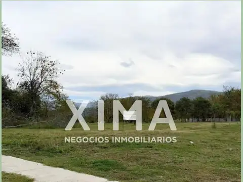 La Arbolada