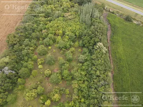 Chacra de 4 has en venta en Alberti