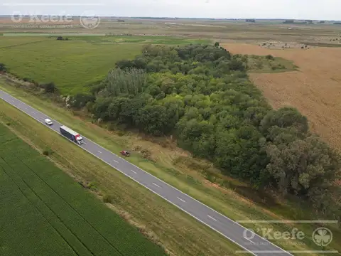 Chacra de 4 has en venta en Alberti