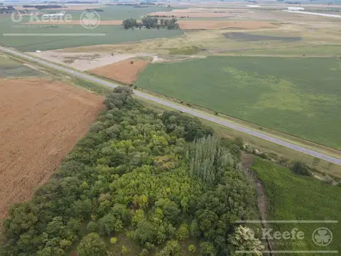 Chacra de 4 has en venta en Alberti