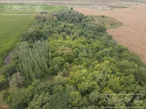 Chacra de 4 has en venta en Alberti