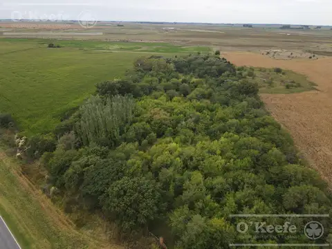 Chacra de 4 has en venta en Alberti