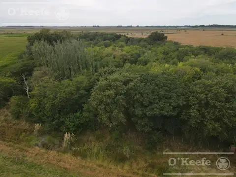 Chacra de 4 has en venta en Alberti