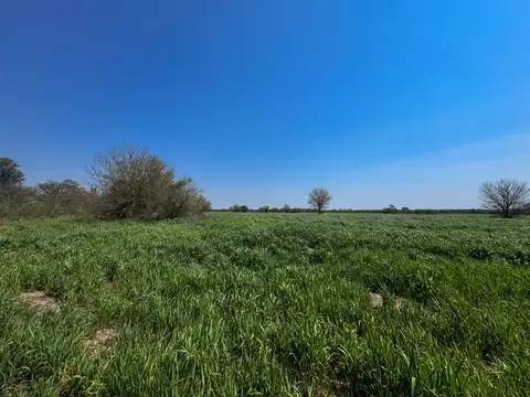 Campo de 9,1 has en nogoyá