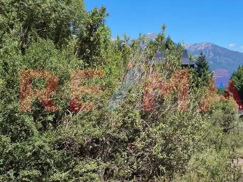 lotes soleado con vegetación en venta Meliquina